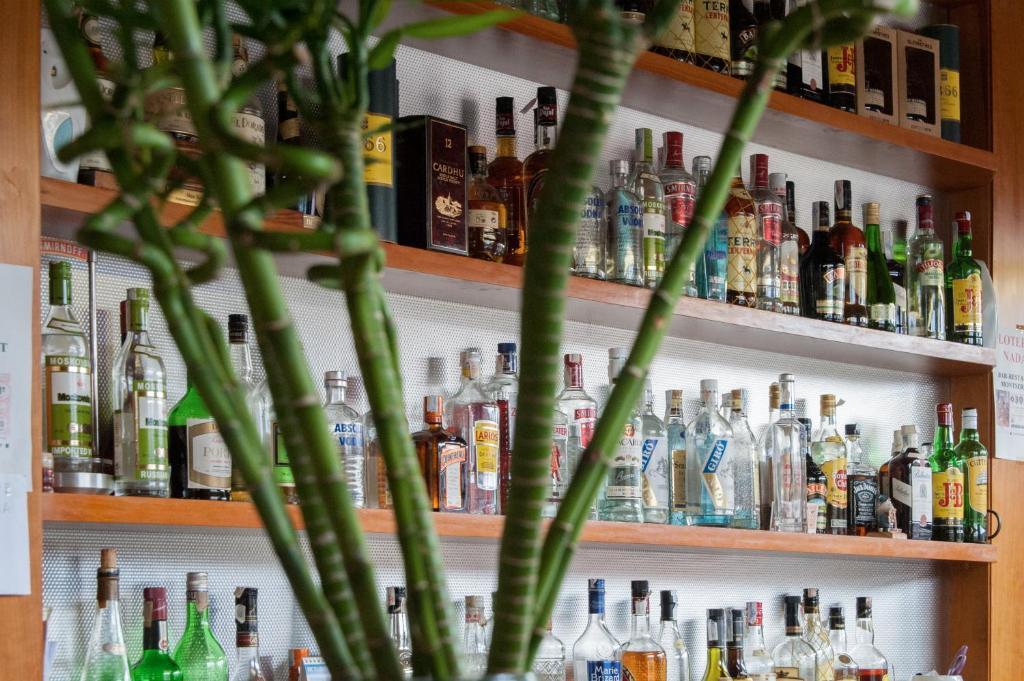 Hostal Montserrat Tona Szoba fotó